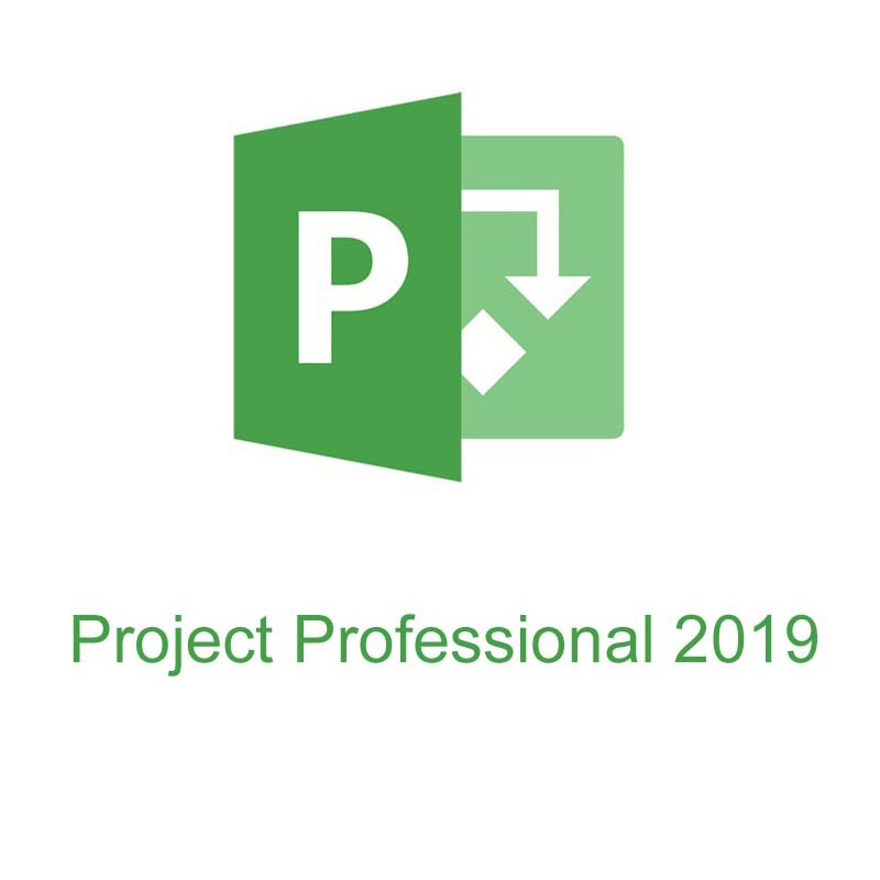 Project профессиональный 2019