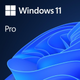 Windows 11 Pro 64-bit All Languages